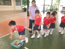 อัลบัมภาพที่ 15280